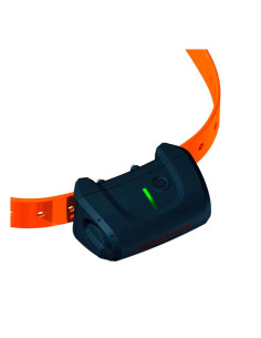 COLLAR ADICIONAL CANICOM 5