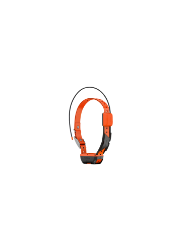 COLLAR GARMIN T20