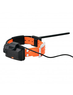 Collar GPS Dogtrace X20 para perros | Armería Bergantiños 2