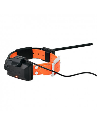 Collar GPS Dogtrace X20 para perros | Armería Bergantiños