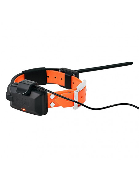 Collar GPS Dogtrace X20 para perros | Armería Bergantiños
