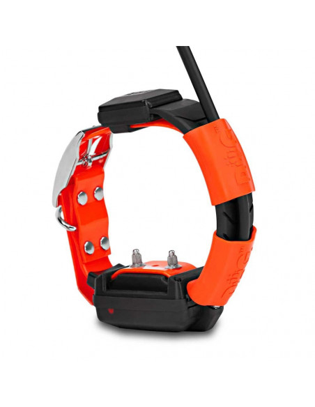 Collar GPS Dogtrace X30T con adiestramiento | Armería Bergantiños