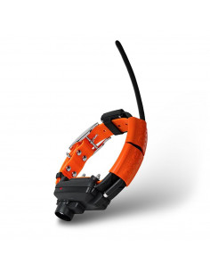 Collar GPS Dogtrace X30TB con beeper y adiestramiento | Armería Bergantiños 2