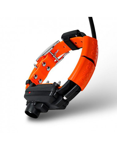 Collar GPS Dogtrace X30TBestramiento | Armería Bergantiños