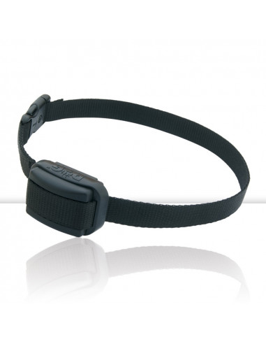 Collar anti ladrido Dogtrace D-Mute | Armería Bergantiños