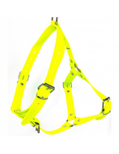 ARNES AJUSTABLE POLYTEC 2