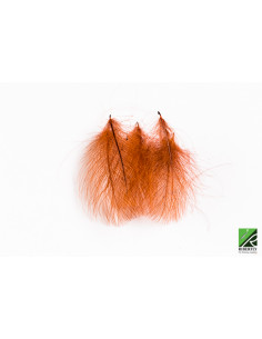 CDC – ÓXIDO BROWN